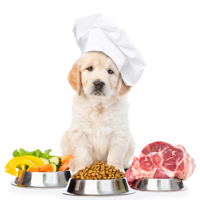 How Do I Choose Healthy Food Products For My Dog?