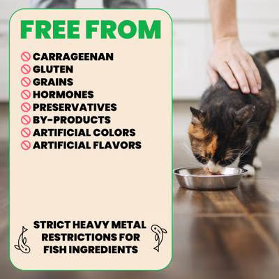Almo Nature HQS Natural Salmon in Broth Cat Food 2.47oz