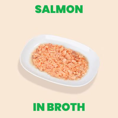 Almo Nature HQS Natural Salmon in Broth Cat Food 2.47oz