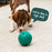 Woof Walkabout – 2-in-1 Rolling Slow Feeder & Puzzle Toy, Large