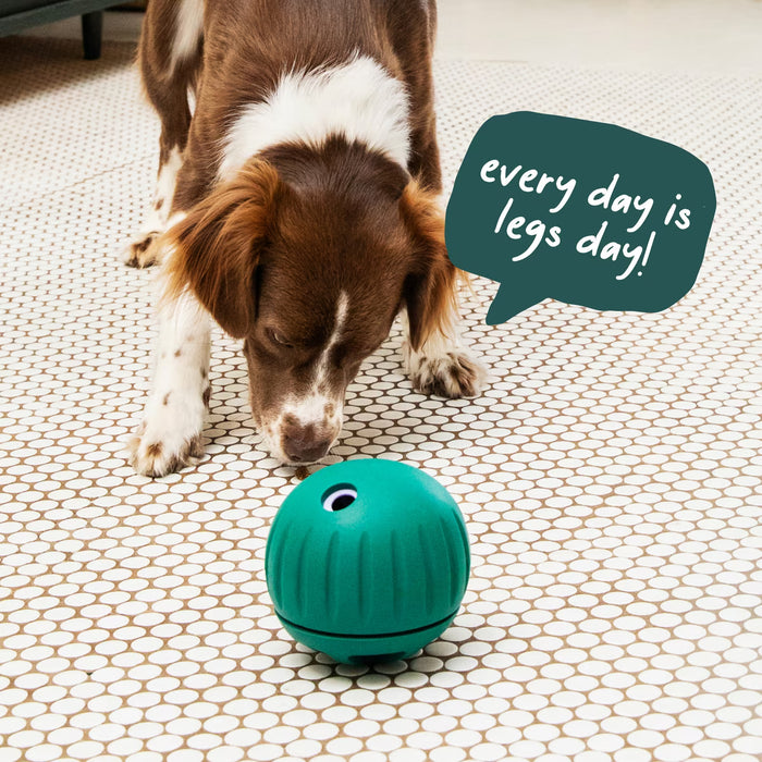 Woof Walkabout – 2-in-1 Rolling Slow Feeder & Puzzle Toy, Large