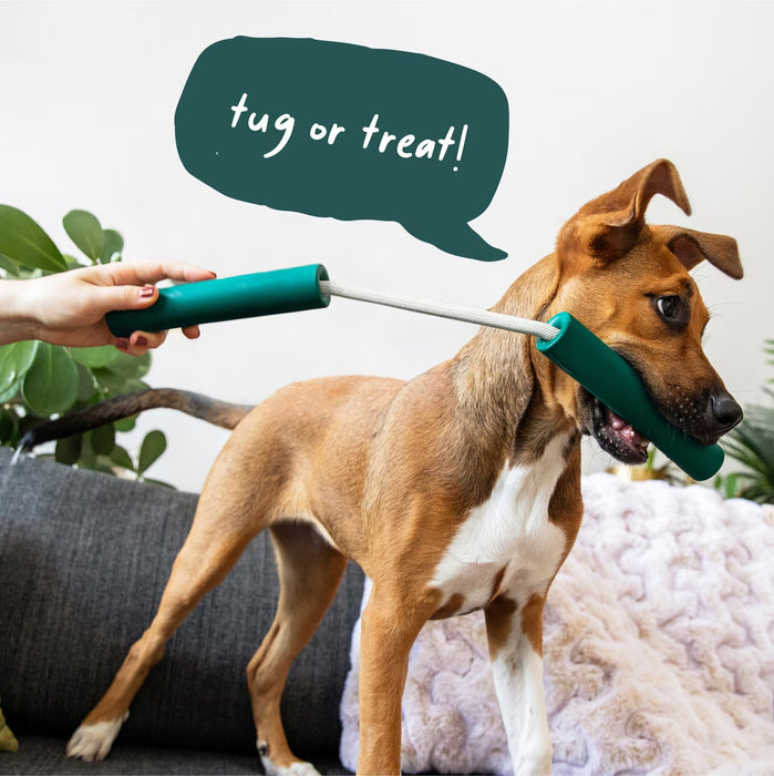 Woof Forager Nomchuck – 2-in-1 Puzzle Feeder & Tug Toy