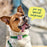 Woof Poomergency – Emergency Dog Poop Bag Holder