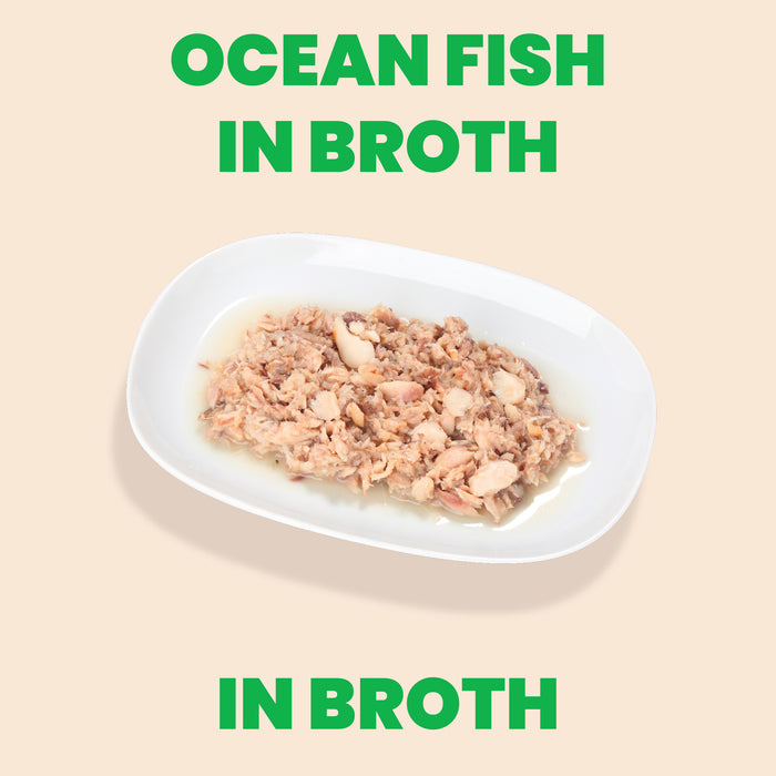 Almo Nature HQS Natural Ocean Fish In Broth Cat Food 2.47 Oz
