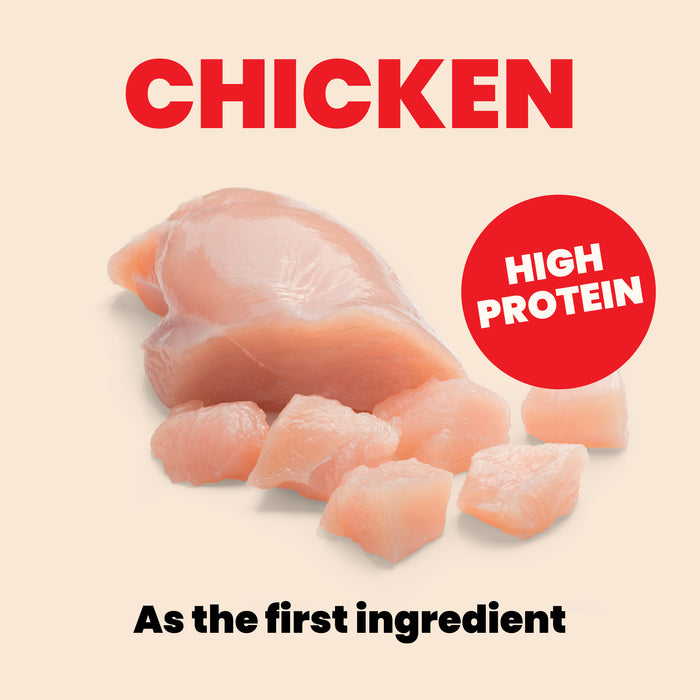 Almo Nature HQS Natural Chicken Recipe In Broth Cat Food - Kitten 2.47 Oz