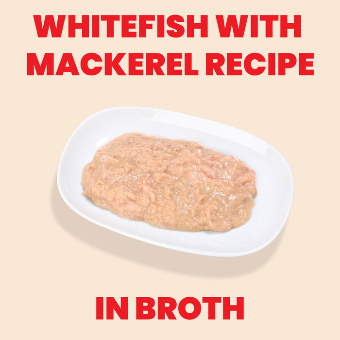 Almo Nature HQS Natural Whitefish With Mackerel In Broth Cat Food - Kitten 2.47 Oz