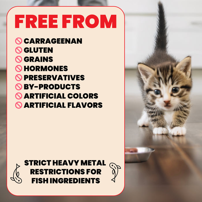Almo Nature HQS Natural Whitefish With Mackerel In Broth Cat Food - Kitten 2.47 Oz