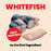 Almo Nature HQS Natural Whitefish With Mackerel In Broth Cat Food - Kitten 2.47 Oz