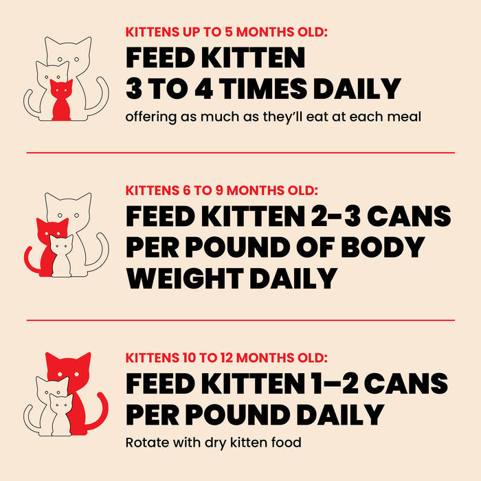 Almo Nature HQS Natural Whitefish With Mackerel In Broth Cat Food - Kitten 2.47 Oz