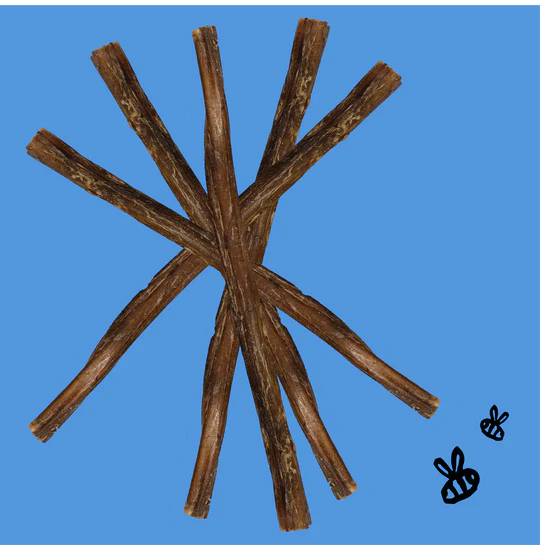 Honey I'm Home Dog Buffalo Bully Stick 5 Pack