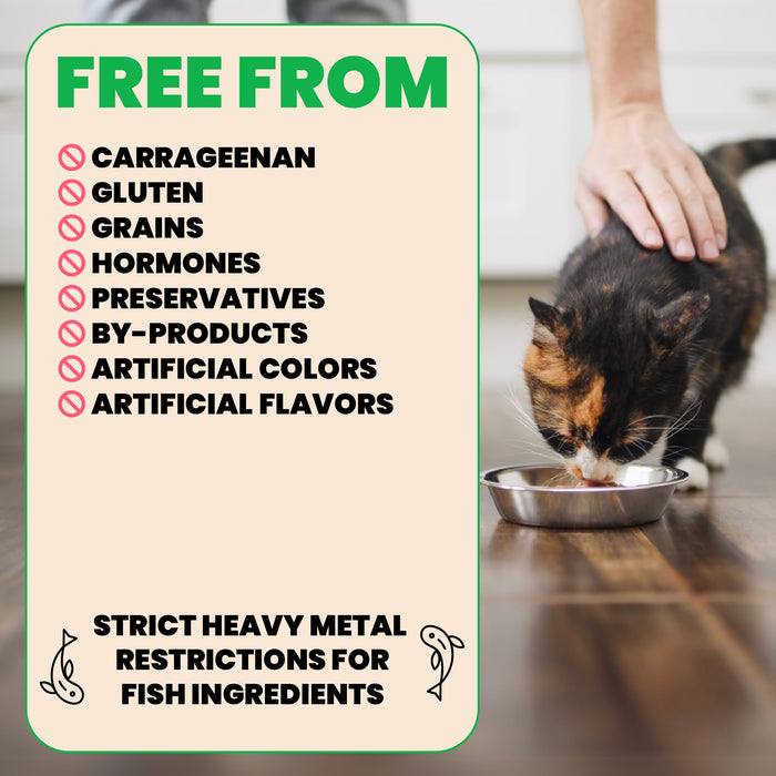 Almo Nature HQS Mousse Chicken Recipe With Pumpkin In Gravy Cat Food 2.47 Oz