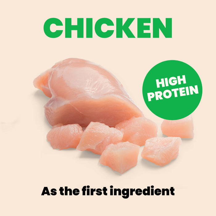 Almo Nature HQS Mousse Chicken Recipe With Pumpkin In Gravy Cat Food 2.47 Oz