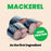Almo Nature HQS Mousse Mackerel And Chicken Recipe In Gravy Cat Food 2.47 Oz