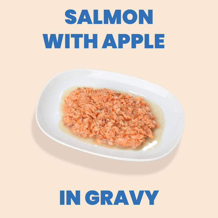 Almo Nature HQS Complete Salmon Recipe With Apple In Gravy Cat Food 2.47 Oz