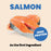 Almo Nature HQS Complete Salmon Recipe With Apple In Gravy Cat Food 2.47 Oz