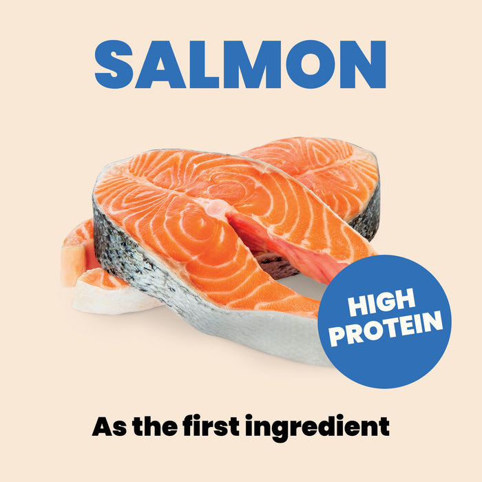 Almo Nature HQS Complete Salmon Recipe With Papaya In Gravy Cat Food 2.47 Oz
