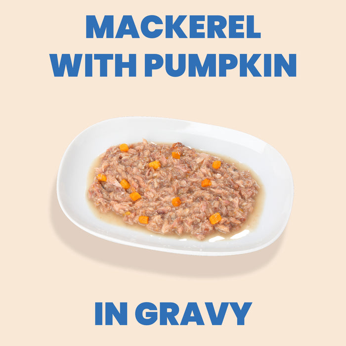 Almo Nature HQS Complete Mackerel Recipe With Pumpkin In Gravy Cat Food 2.47 Oz
