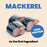 Almo Nature HQS Complete Mackerel Recipe With Pumpkin In Gravy Cat Food 2.47 Oz
