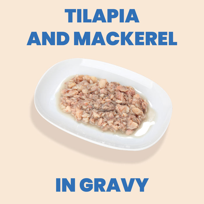 Almo Nature HQS Complete Tilapia And Mackerel Recipe In Gravy Cat Food 2.47 Oz