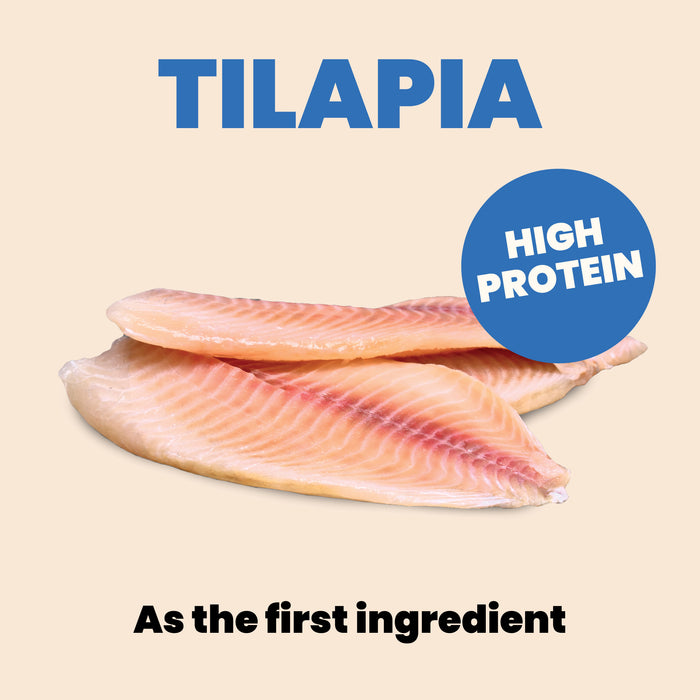 Almo Nature HQS Complete Tilapia And Mackerel Recipe In Gravy Cat Food 2.47 Oz