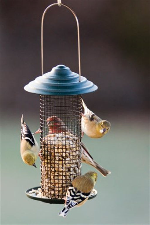Woodlink Mini Magnums Sunflower Screen Feeder
