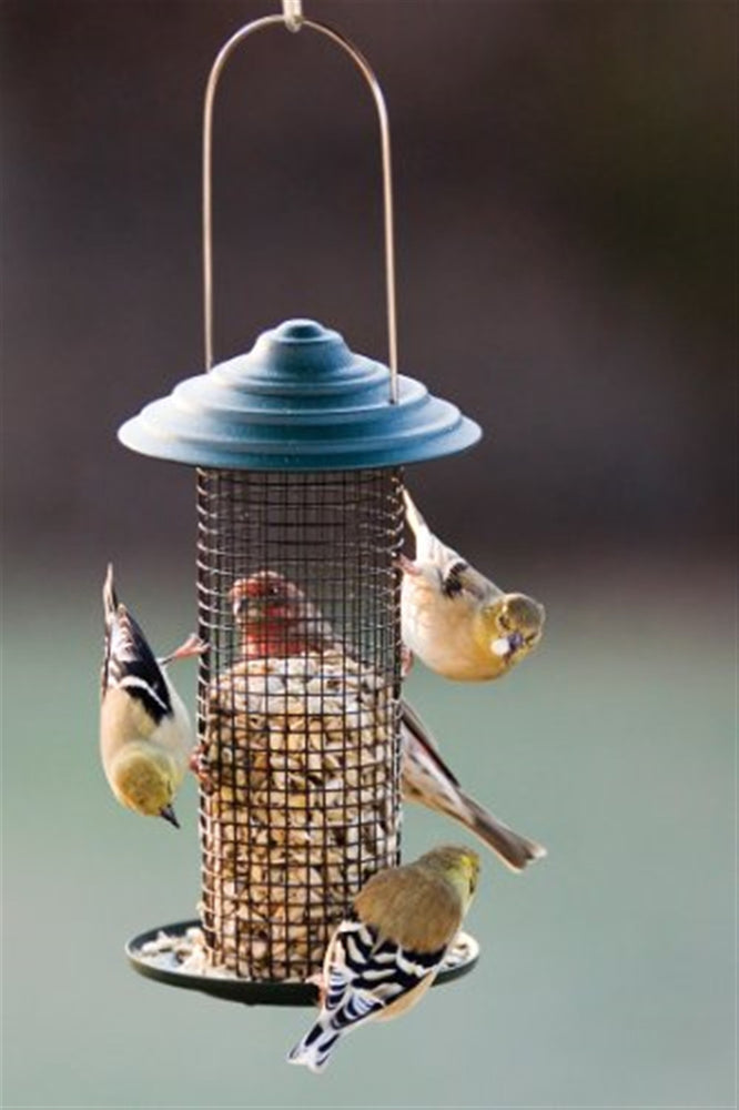 Woodlink Mini Magnums Sunflower Screen Feeder