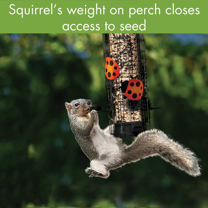WoodLink Audubon Collection Squirrel-Resistant Ladybug Bird Tube Feeder, 18-in