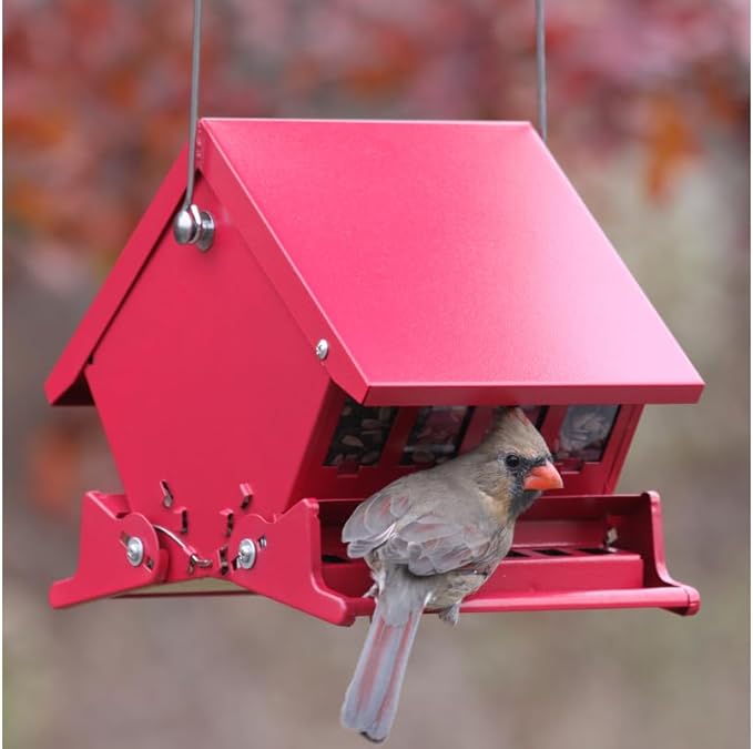 Audubon "Mini" Absolute Squirrel Resistant Bird Feeder