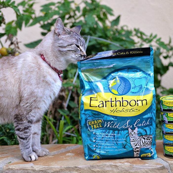 Earthborn Holistic Wild Sea Catch Grain Free Natural Cat Food