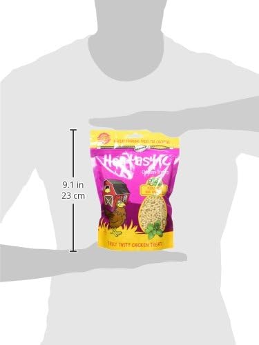 Hentastic Mealworm And Oregano Chicken Treats 16oz