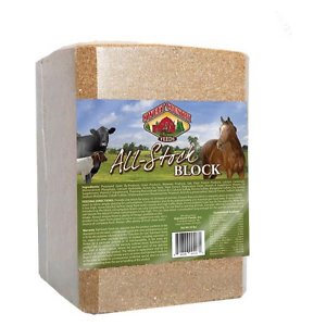 Kalmbach 20% All Stock Sweet feed Block