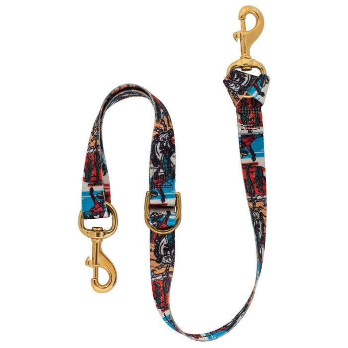 Weaver Equine Deluxe Patterned Nylon Tie Down Strap – 1" x 40"
