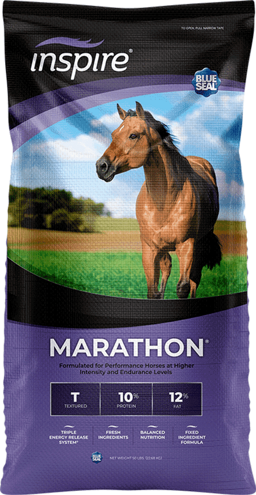 Blue Seal Inspire Marathon