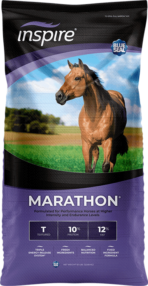 Blue Seal Inspire Marathon