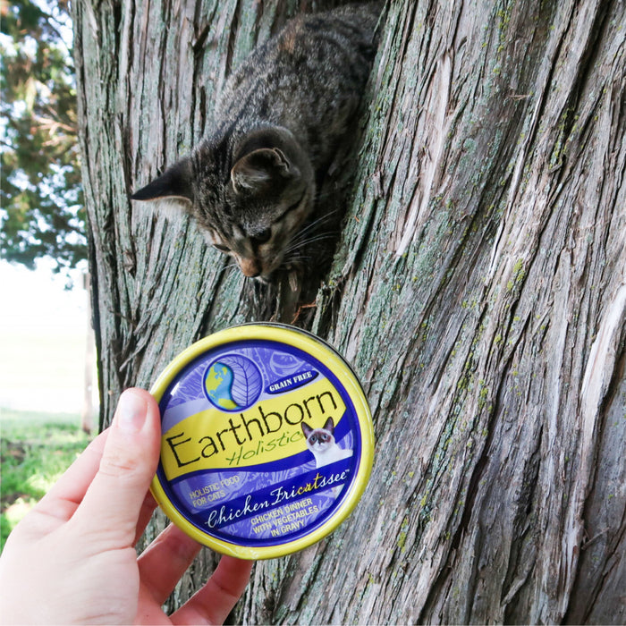 Earthborn Holistic Grain Free Chicken Fricatssee Canned Cat Food