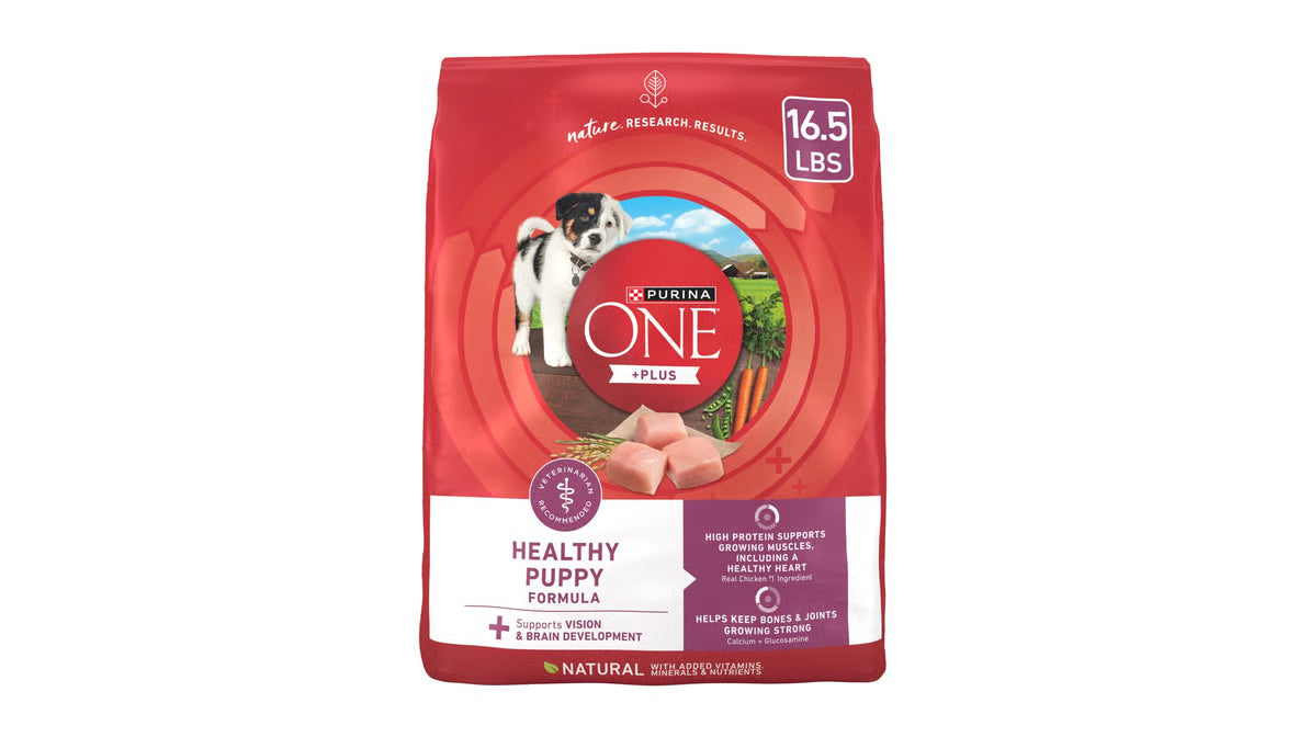 Purina ONE SmartBlend Healthy Puppy Formula Dry Dog Food 16.5 lb Bag