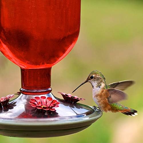 Perky-Pet Antique Glass Bottle Hummingbird Feeder – Red, 16 oz