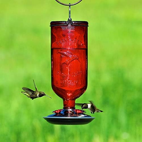Perky-Pet Antique Glass Bottle Hummingbird Feeder – Red, 16 oz