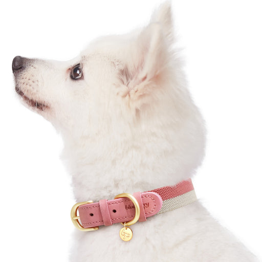 Blueberry Pet Polyester Fabric Webbing and Soft Genuine Leather Dog Collar in Pink and Grey, Priyanka Chopra's Wedding Registry Picks