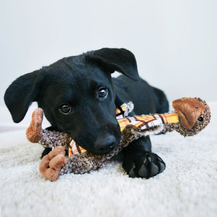 KONG Shakers Luvs Elephant  Dog Toy