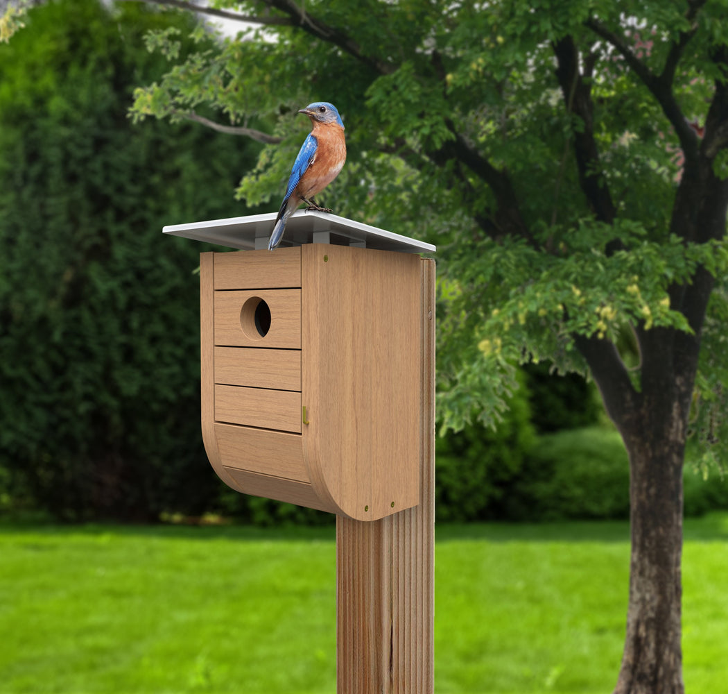 Woodlink Nordic Habitat Modern Bluebird House with Teakwood Finish