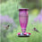 Perky-Pet Purple Diamond Wine Top-Fill Glass Hummingbird Feeder – 24 oz
