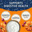 Natural Balance Yo-Gut Bites with Pumpkin & Cranberries Dog Treats