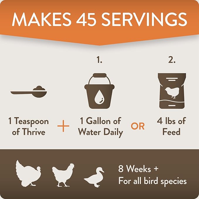 Perdue Flockleader Thrive Poultry Supplement Powder 8 Oz
