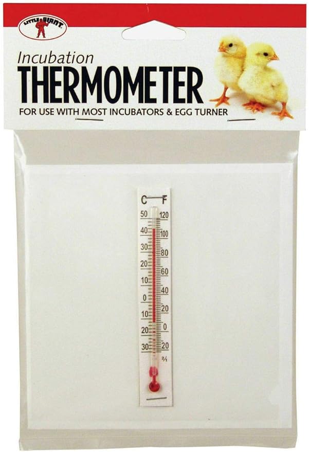 Little Giant Incubator Thermometer White 4.5X5.5 Inch