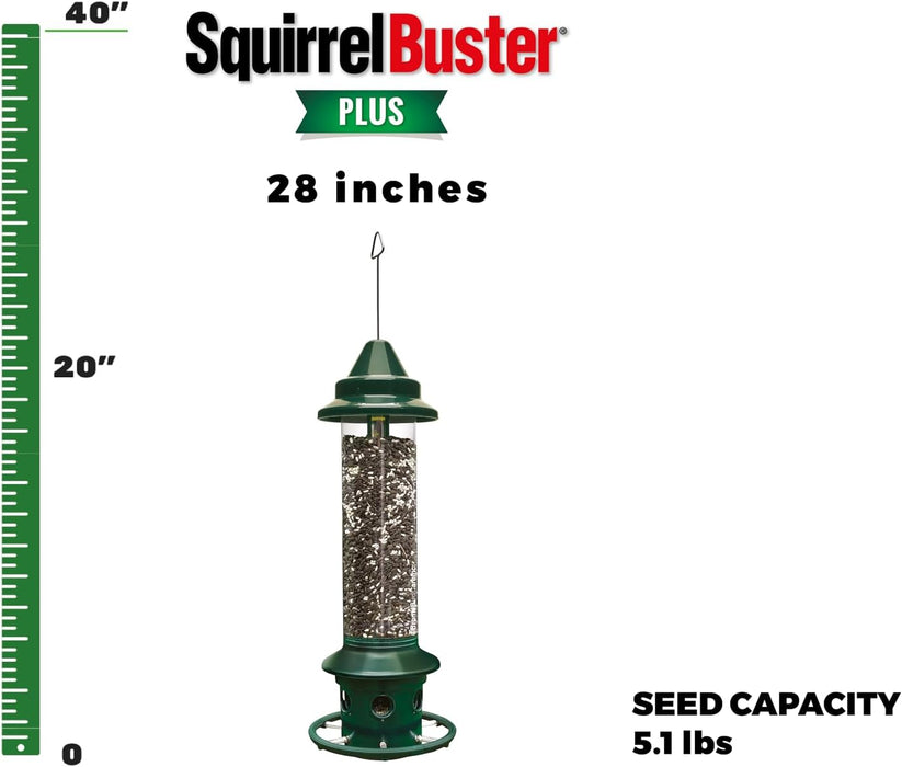 Squirrel Buster Squirrel-proof Bird Feeder w/4 Metal Perches
