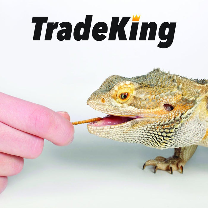 TradeKing Dried Mealworms – 5 lb Bag
