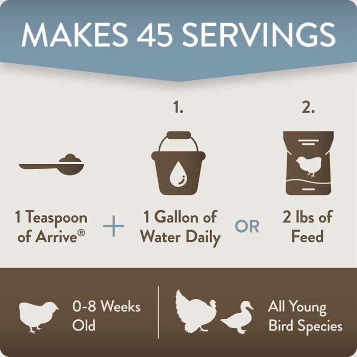Perdue Flockleader Arrive Poultry Supplement Powder 8 Oz