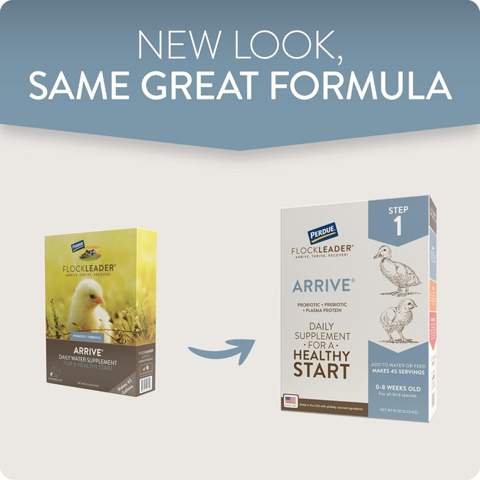 Perdue Flockleader Arrive Poultry Supplement Powder 8 Oz