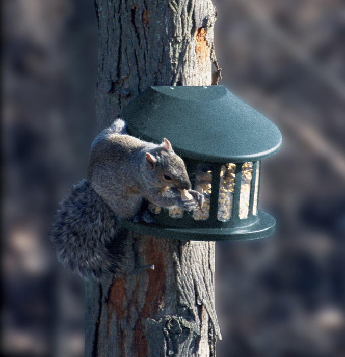 Woodlink Squirrel Diner 2